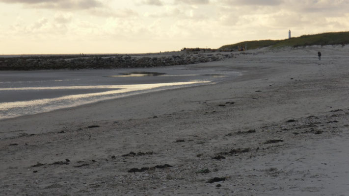 Schon wieder ein Strandspaziergang