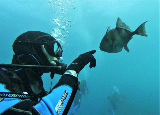 underwater @ Azores - picture by Markus Jimi Ivan