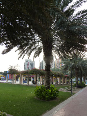 Parc Al Nadha