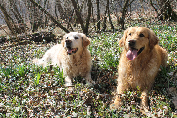 Giacomo&Bernardo