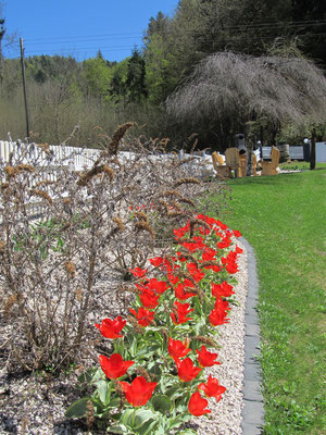 Frühling