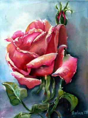 Rose Aquarell