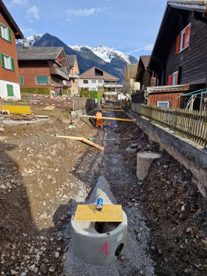Buchen, Schwanden