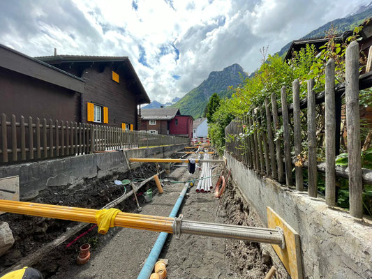 Buchen, Schwanden
