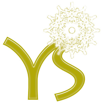 Lebendige Meisterschlüssel - Logo für YS © Susanne Barth