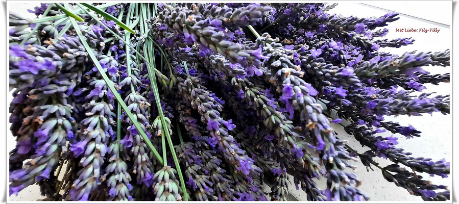Lavendelsäckchen / Lavendel
