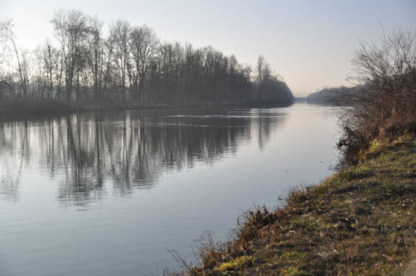 Unsere Heimat, kein Flutpolder Leipheim. (Bild: Dieter Blaich)