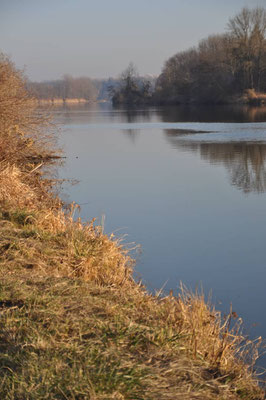 Unsere Heimat, kein Flutpolder Leipheim. (Bild: Dieter Blaich)