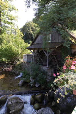 ALLEMAGNE - OTTENHOFEN