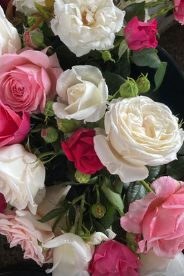 Roses