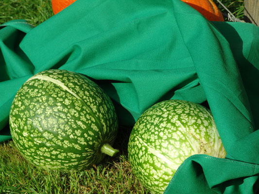 Grüner Köper, reine Baumwolle
