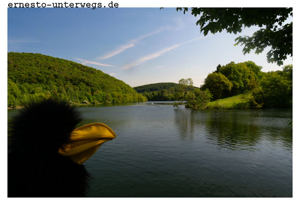 Genau gesagt: Der Diemelsee