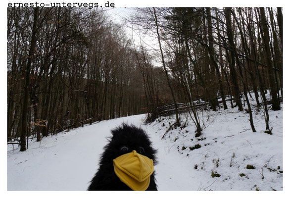 ...Am dritten Tag lag Schnee. 