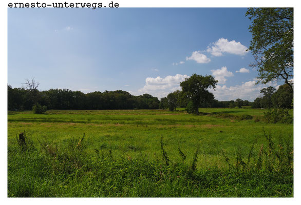 Laut Karte muss auf diesem Foto der "Hohe Horst" zu sehen sein.