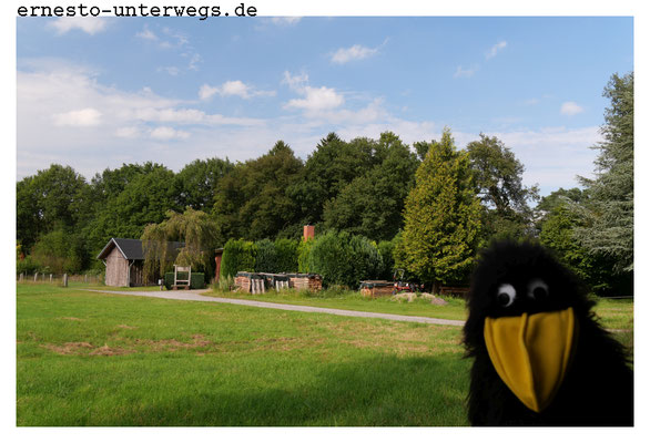 Wenn du gaaaaanz genau hinschaust, entdeckst du hinter der Hecke den gemauerten Schornstein eines Wohnhauses.