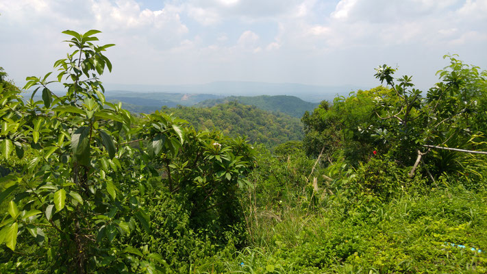 Aussicht vom Wat Pa Phu Kon