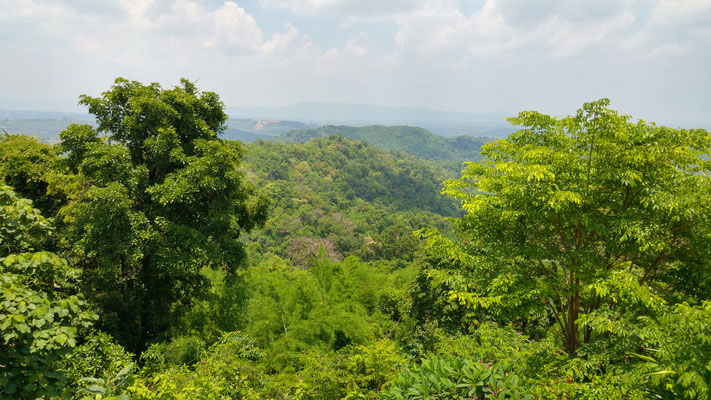 Aussicht vom Wat Pa Phu Kon