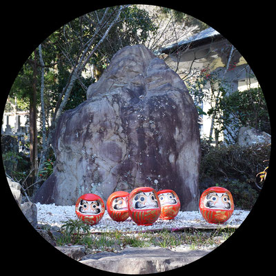 その姿形が達磨さんのお姿に大変似ている石です。達磨さんが横向きに座ってらっしゃるかの様に見えることが特徴的な石です。
