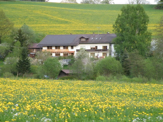 Das Landhaus Riedelstein in Drachselsried - idyllisch gelegen
