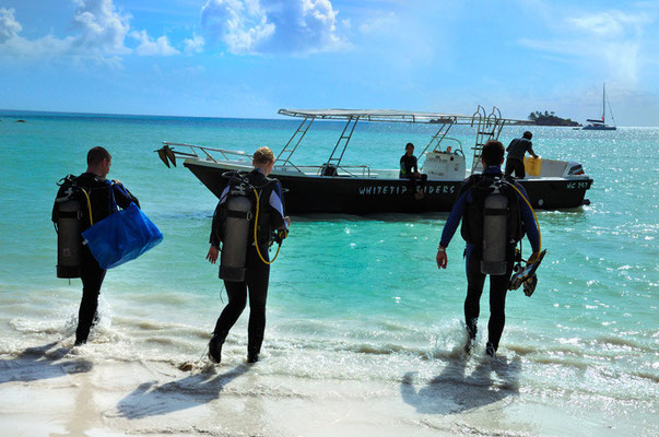 Immersioni a Praslin, Seychelles