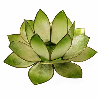 Lotusteelicht (09) Farbe: Grün