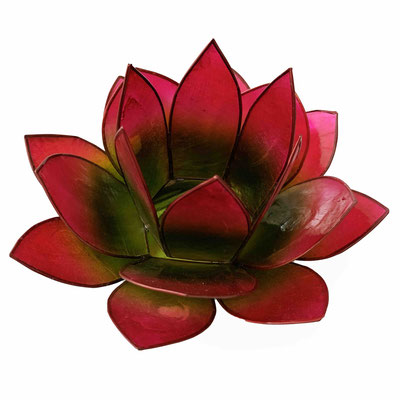 Lotusteelicht (13) Farbe: Pink/Grün 