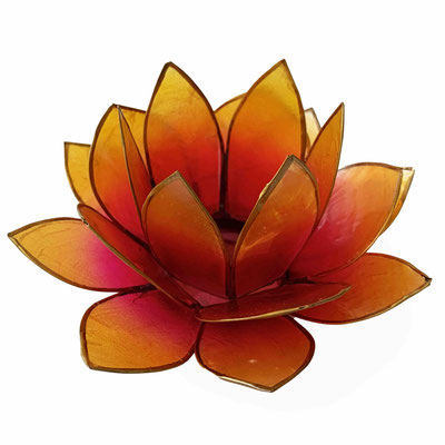 Lotusteelicht (12) Farbe: Pink/Orange
