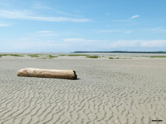 Paysage de la baie de Somme