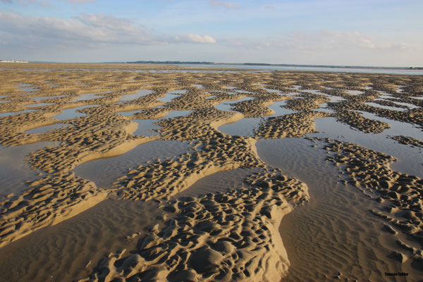 Paysage de la Baie de Somme