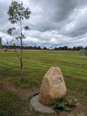 Ernie's birthday tree and the plaque in place, thanks to Anton Motha & Steve Tamme.