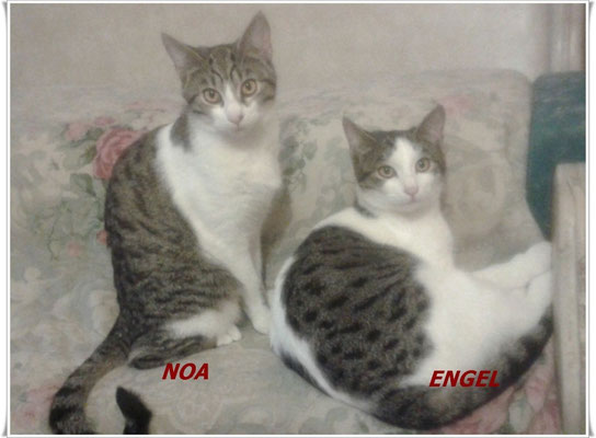 Las pequeñas Noa y Engel