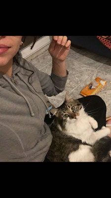 En casa de acogida