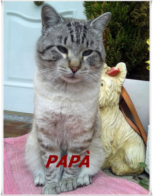 Papa