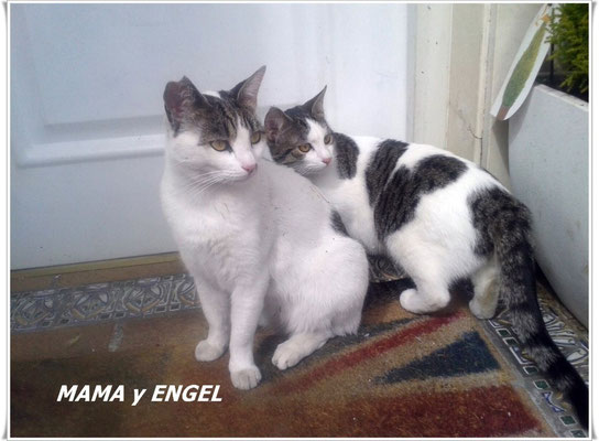 Mama y Engel