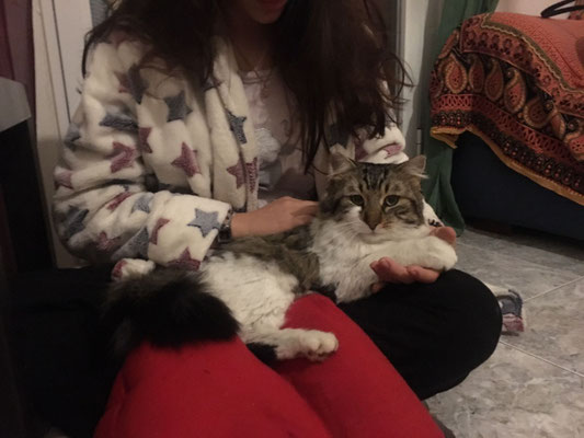 En casa de acogida