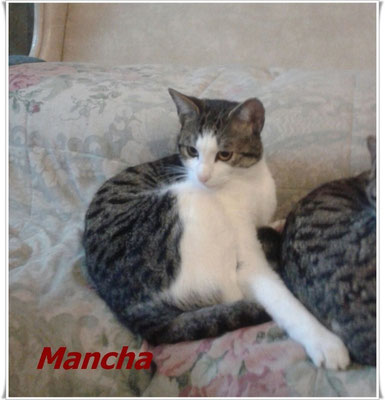 la pequeña Mancha