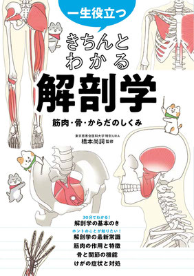 書籍「一生役立つきちんとわかる解剖学 筋肉・骨・からだのしくみ」(2024年)カバーイラスト・挿絵