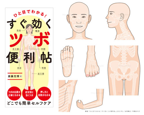 書籍「ひと目でわかる！すぐ効くツボ便利帳」(2025年)カバーイラスト・挿絵
