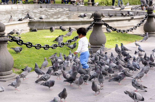 Plaza de Armes - Arequipa