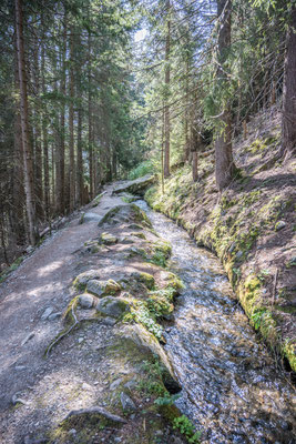 Bisse Vieux, Nendaz