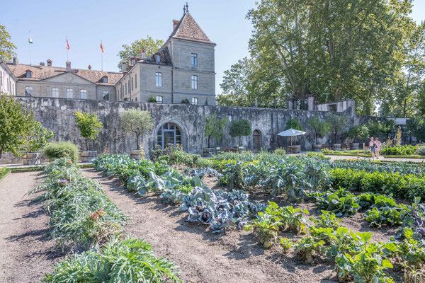 Garten des Schloss Prangins