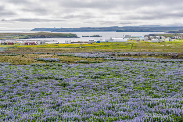 Nordküste bei Raufarhöfn