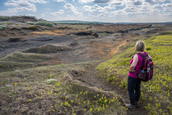 Wanderung im Asbyrgi Nationalpark