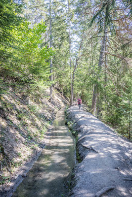 Bisse de Saviese (Torrent Neuf)