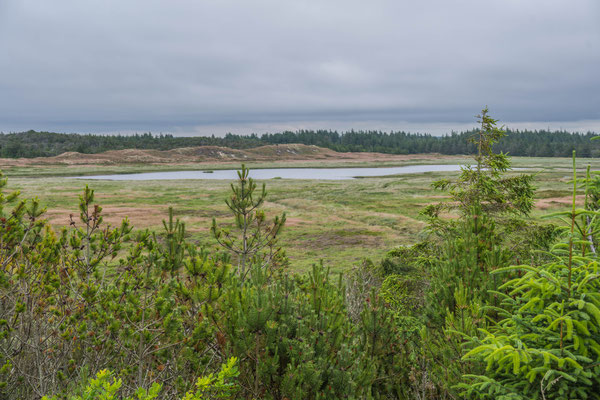 Wanderung im Thy National Park, Stenbjerg Landingsplads 