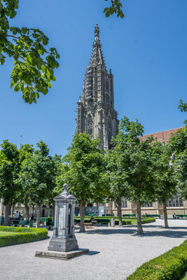 Berner Münster