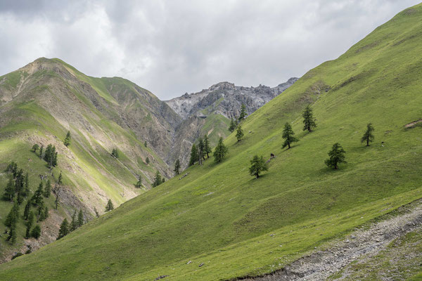 Wanderung ins Val Trupchun