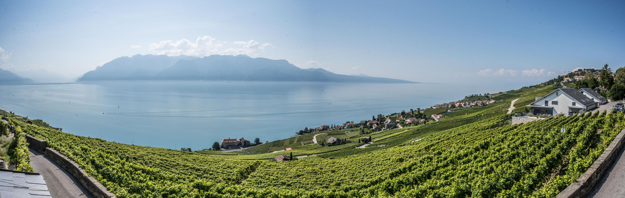 Rebberge von Lavaux