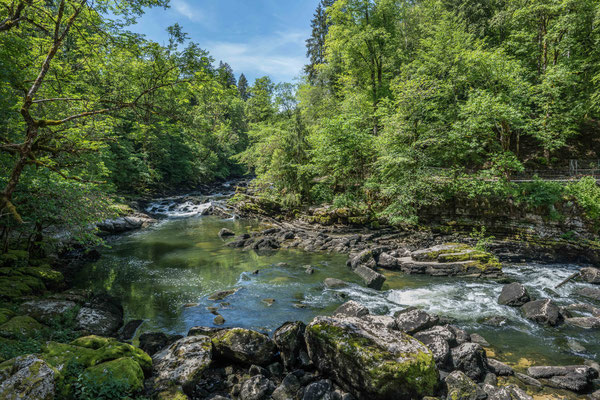 Am Doubs bei Les Brenets