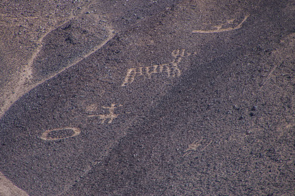 Geoglyphen von "Cerro Pintado"